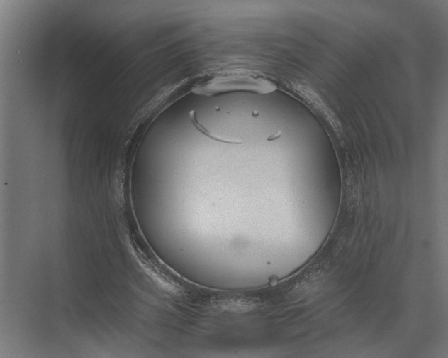 X0000073860533200608241111