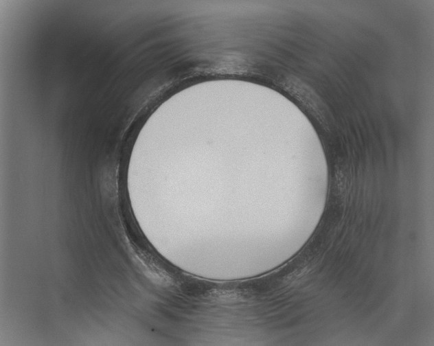 X0000073860534200608241111