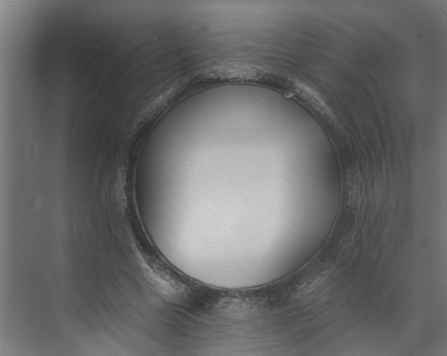 X0000073860538200608241111