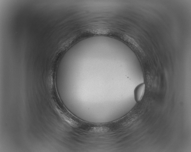 X0000073860541200608241111