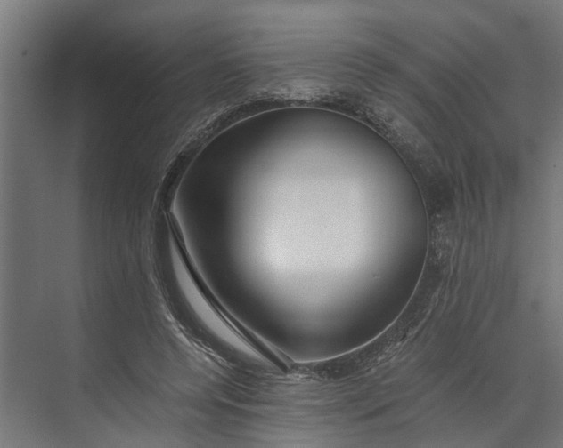 X0000073860544200608241111