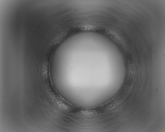 X0000073860545200608241111