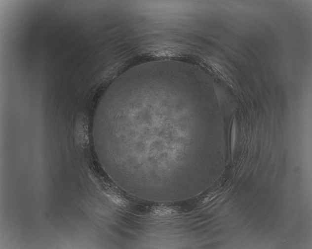 X0000073860547200608241111