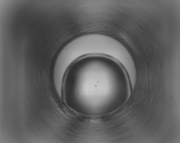 X0000073860548200608241111