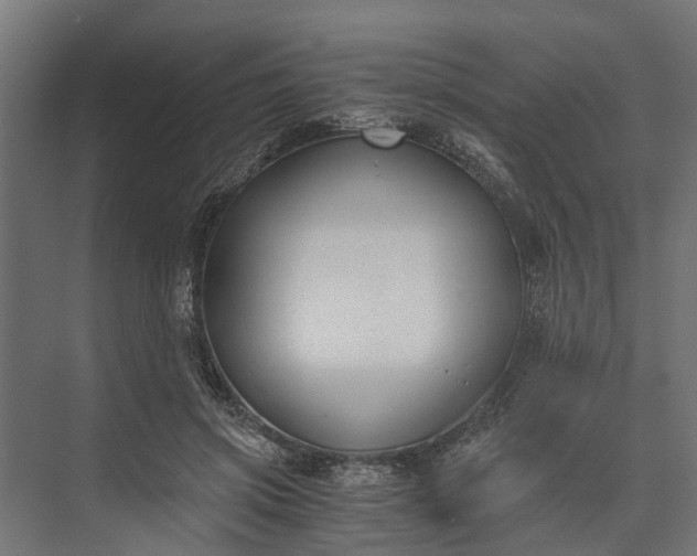 X0000073860549200608241111