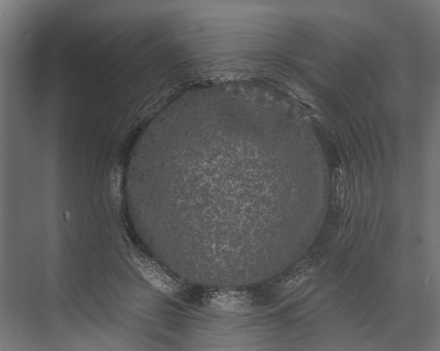 X0000073860550200608241111