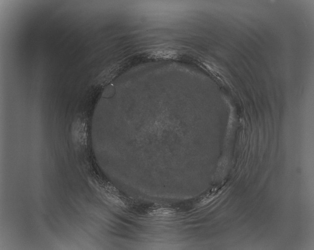 X0000073860551200608241111