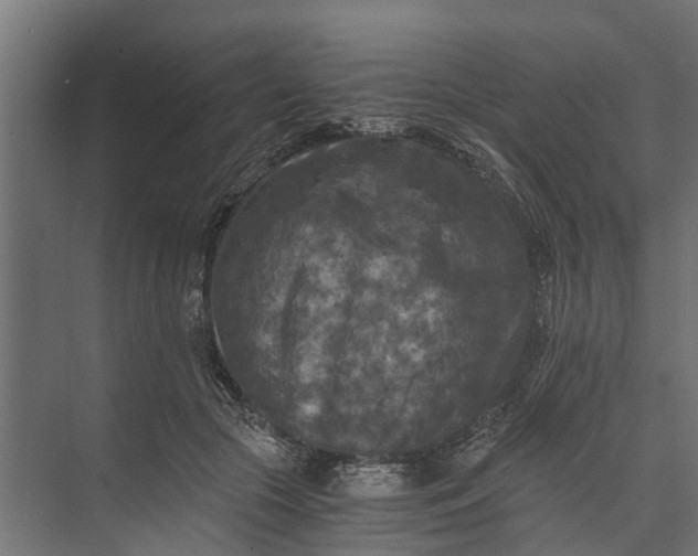 X0000073860553200608241111