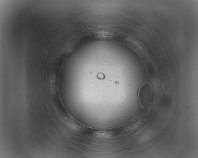 X0000073860557200608241111