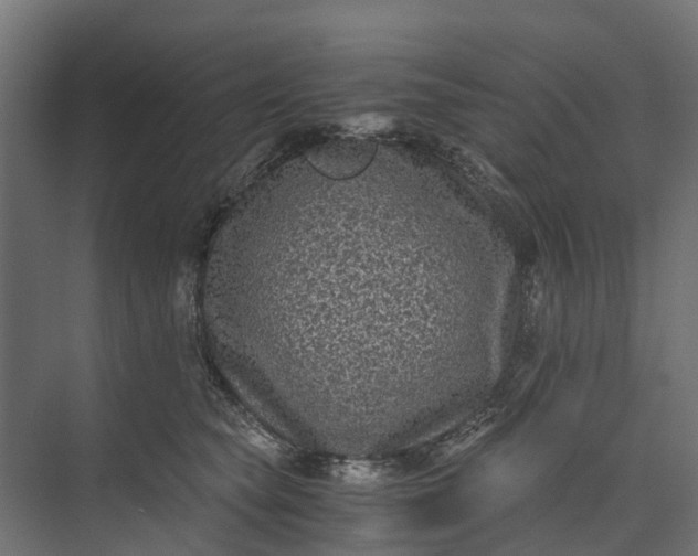 X0000073860565200608241111