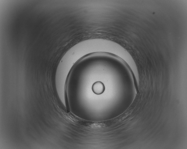 X0000073860566200608241111