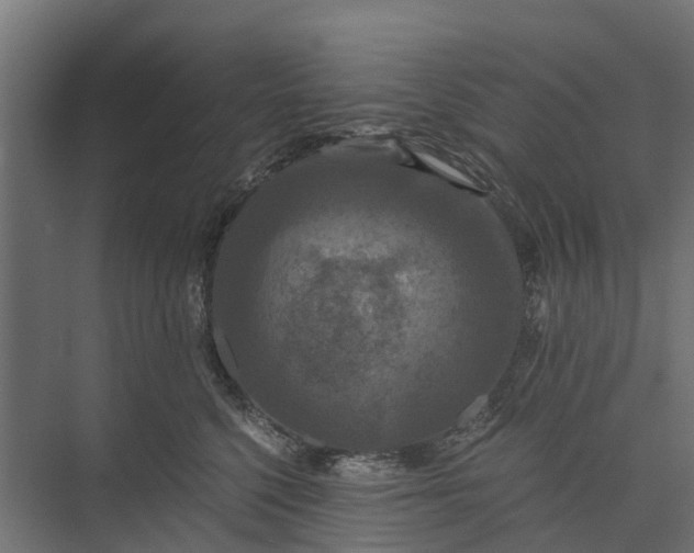 X0000073860568200608241111