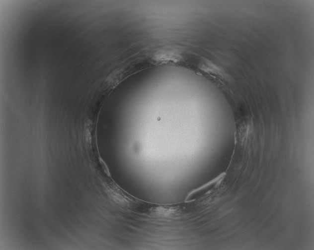 X0000073860570200608241111