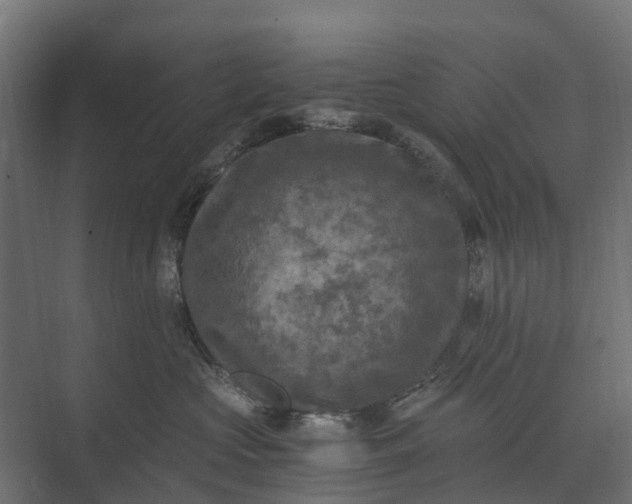 X0000073860573200608241112