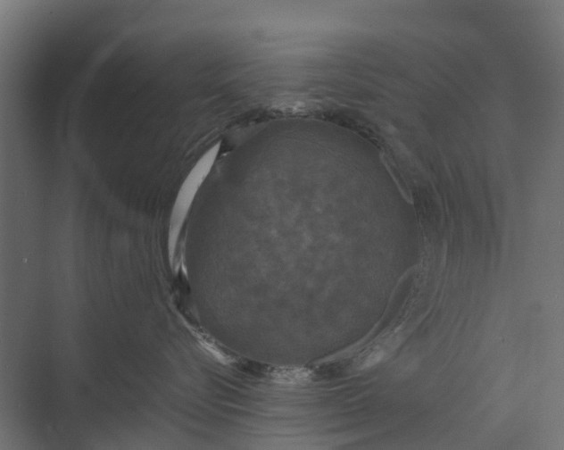 X0000073860576200608241112