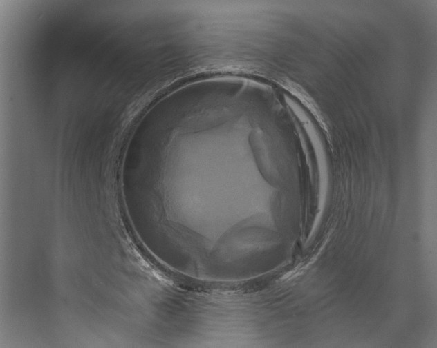 X0000073860577200608241111