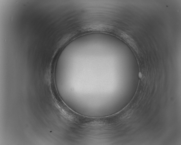 X0000073860578200608241111