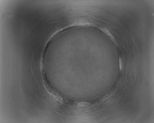 X0000073860579200608241111