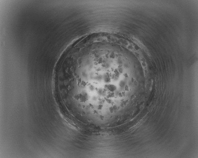 X0000073860580200608241111