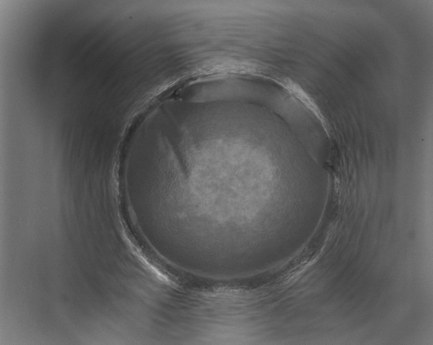 X0000073860581200608241111