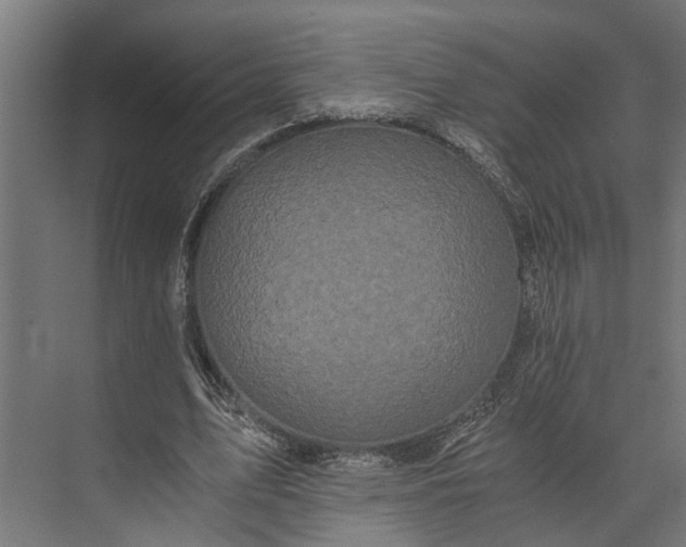 X0000073860583200608241111