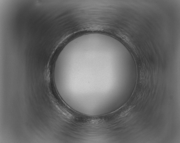 X0000073860584200608241111