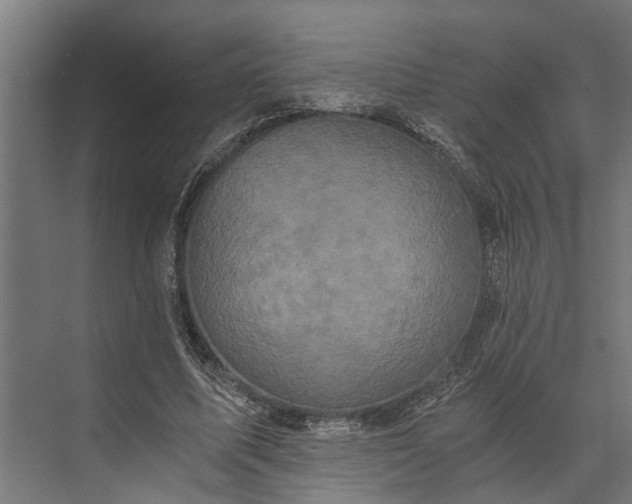 X0000073860587200608241111