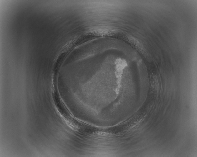 X0000073860590200608241111