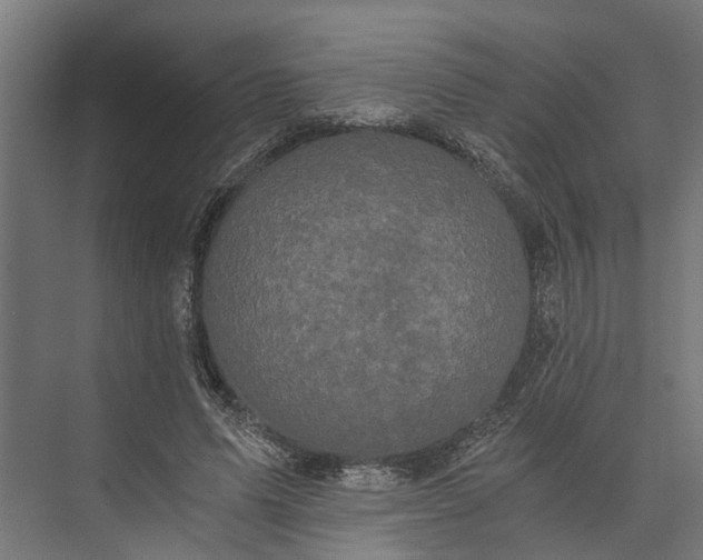 X0000073860591200608241111