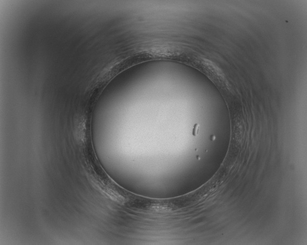 X0000073860596200608241110