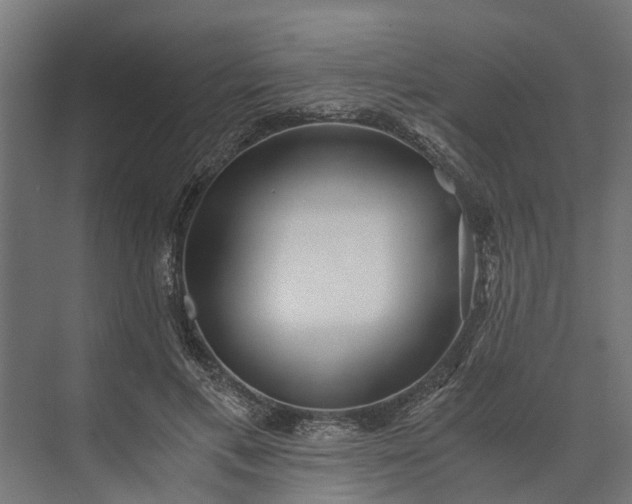 X0000073860597200608241110