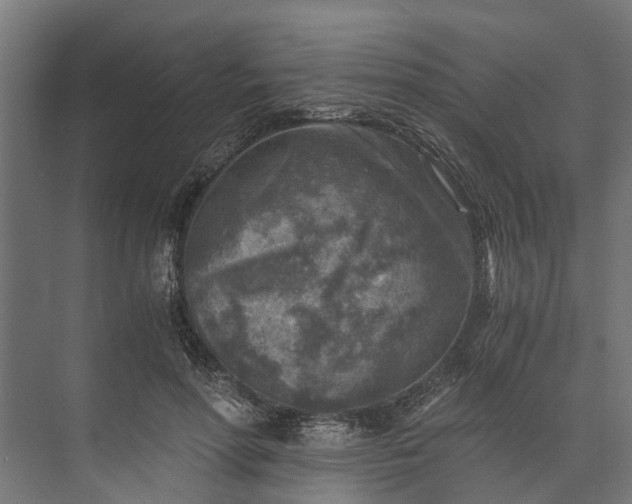 X0000073860598200608241110