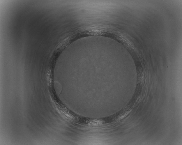 X0000073860599200608241110