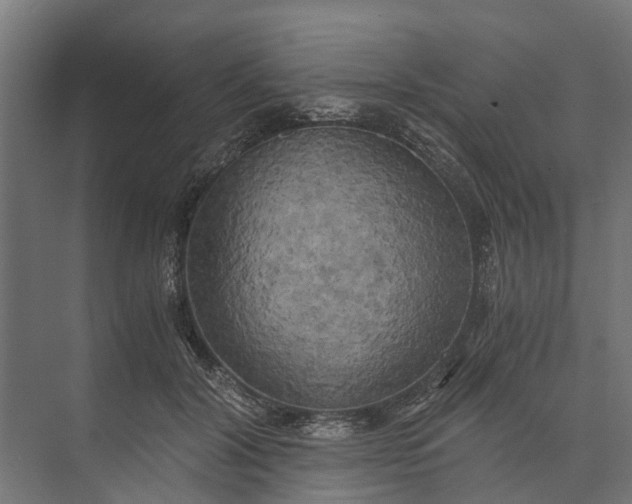 X0000073860604200608241110