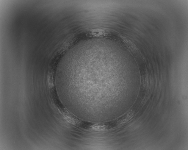 X0000073860606200608241110