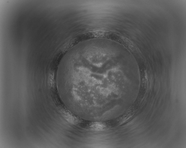 X0000073860610200608241110