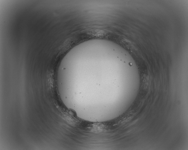 X0000073860612200608241110