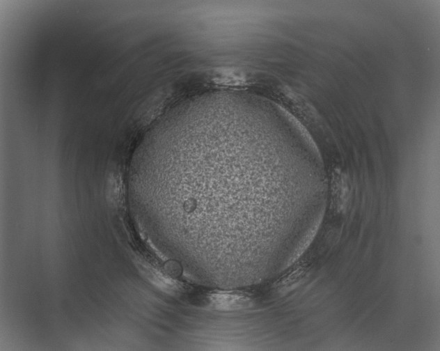 X0000073860614200608241110