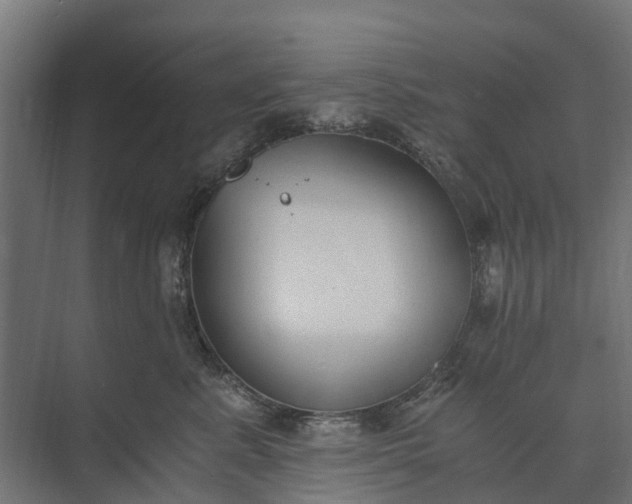 X0000073860619200608241110