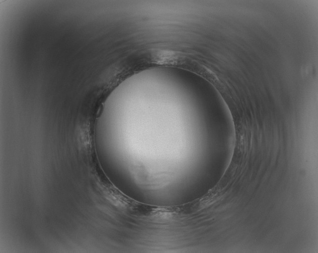 X0000073860620200608241110