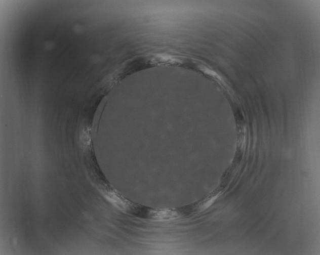 X0000073860621200608241110