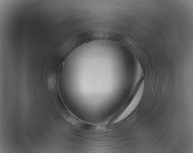 X0000073860623200608241110