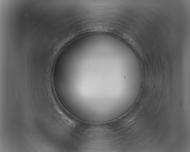 X0000073860625200608241109