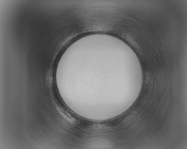 X0000073860632200608241109