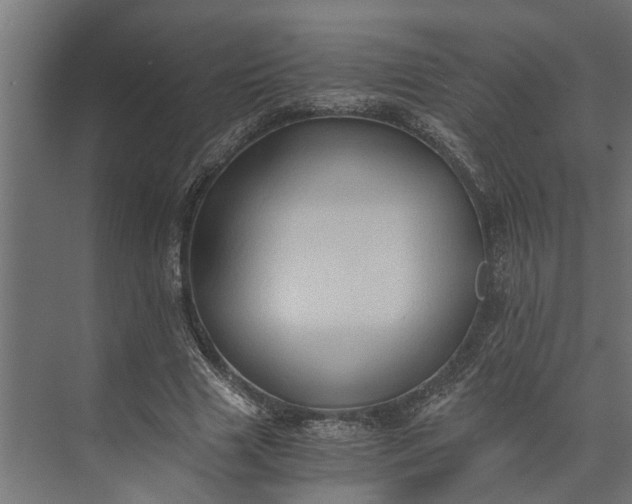 X0000073860633200608241109