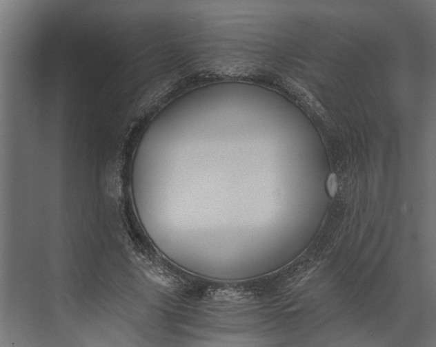 X0000073860635200608241109