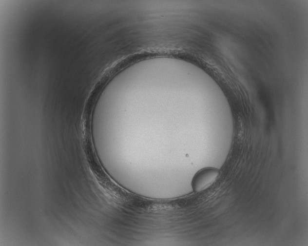 X0000073860636200608241109