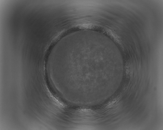 X0000073860637200608241109