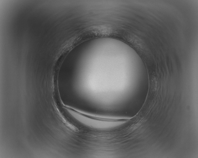 X0000073860638200608241109