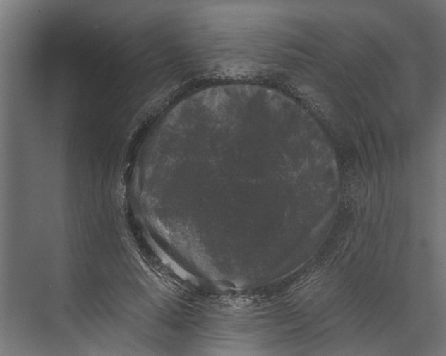 X0000073860640200608241109